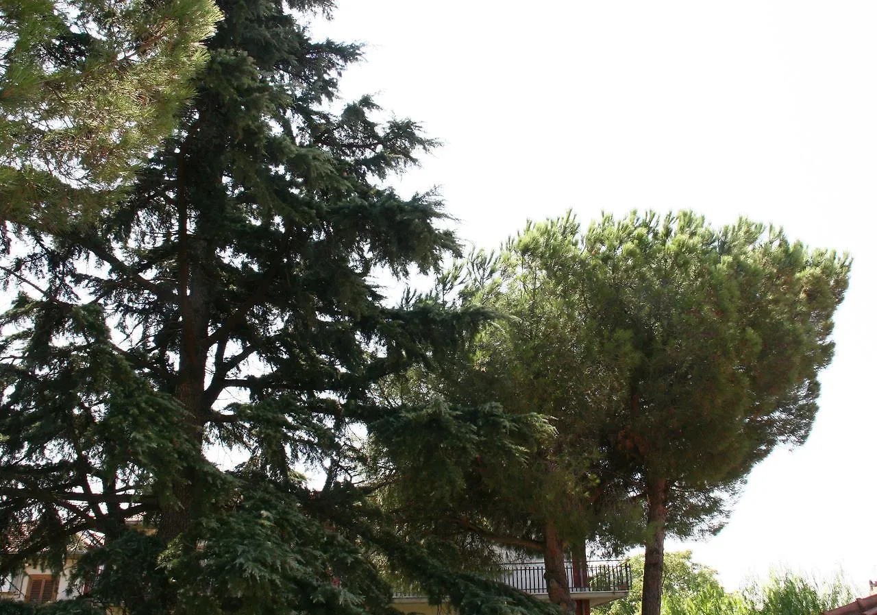 Tremestieri Etneo B&B Etna Country 0*, Tremestieri Etneo